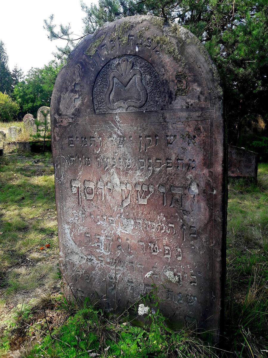 Kirkut w Żarkach VI.