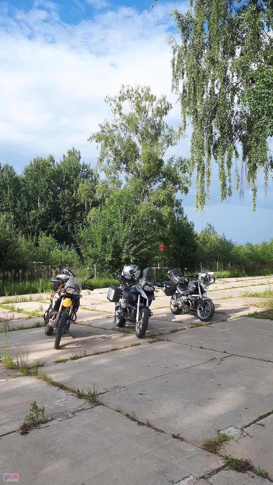 Przed Brzozą