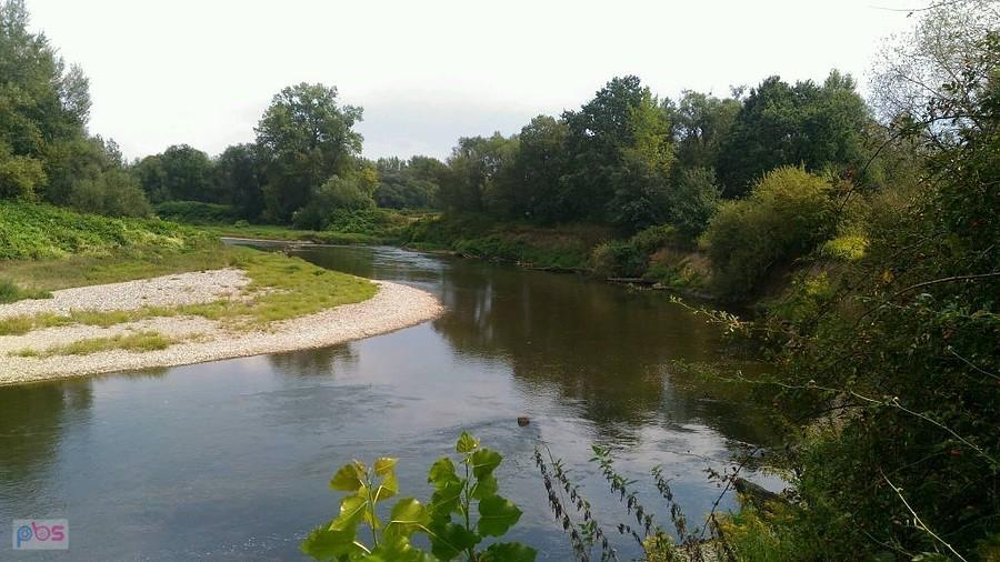 Graniczne Meandry Odry