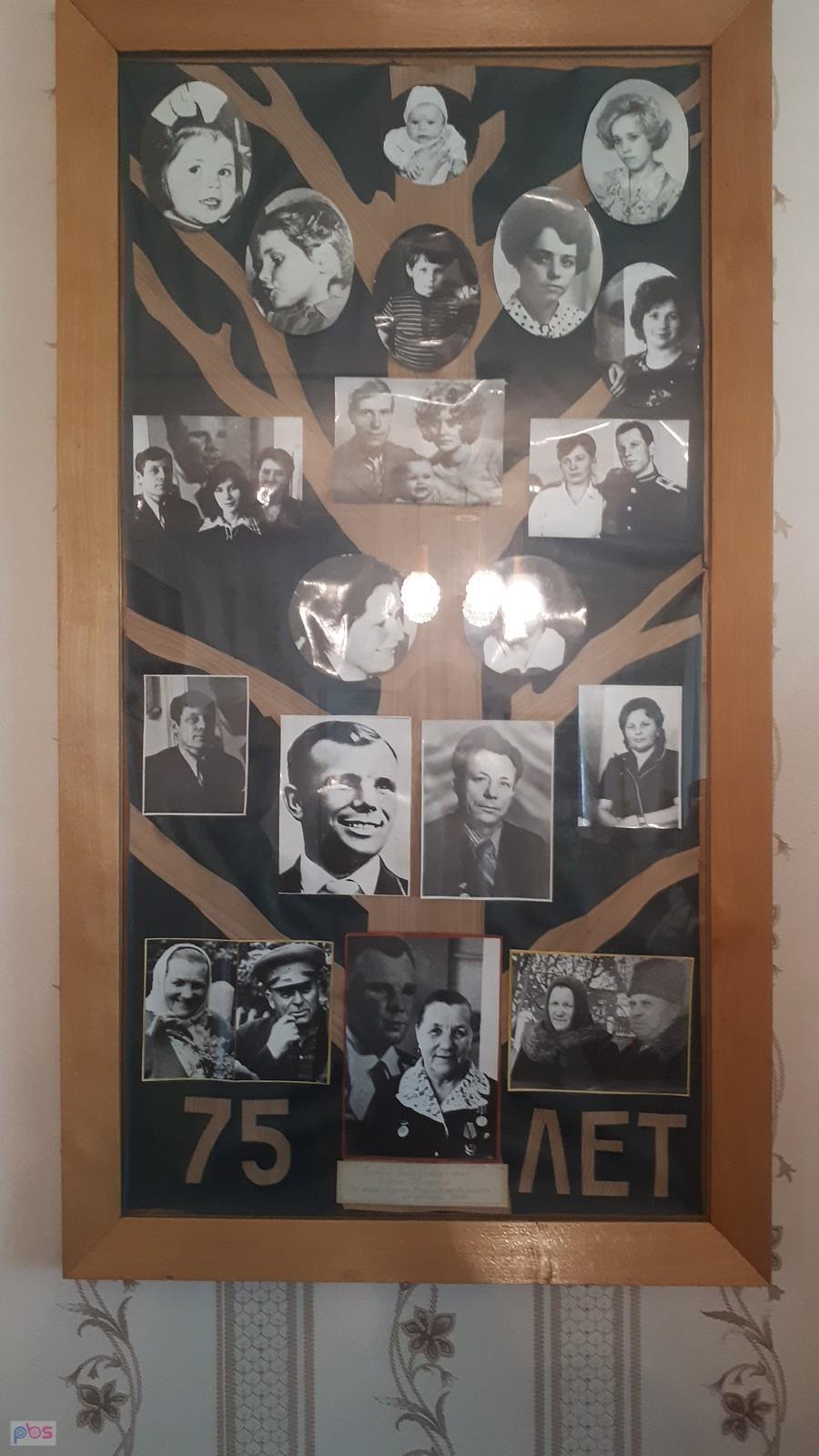Drzewo genealogiczne Jurka
