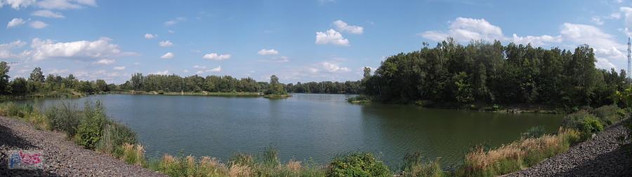 Staw w Antošovicach