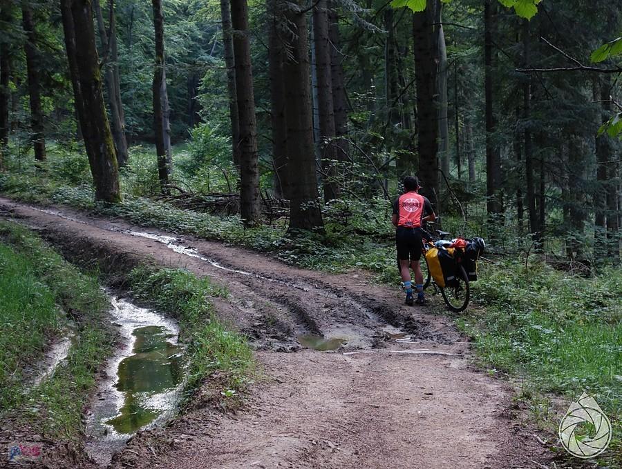lekko błoto na drodze pod Rezerwat