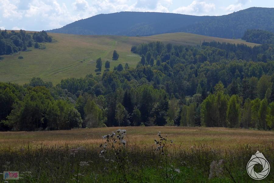 pierwsze grzbiety bieszczadzkie