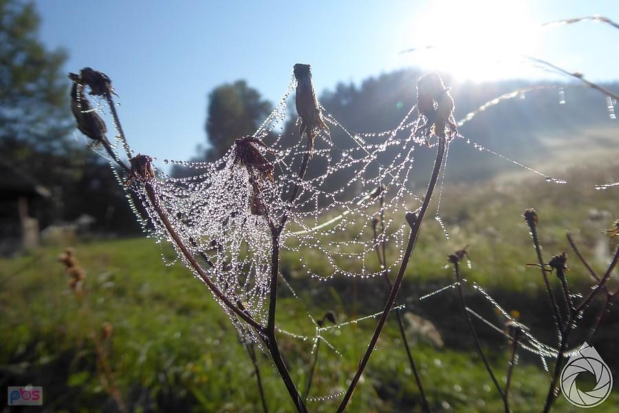 obaz późnego lata