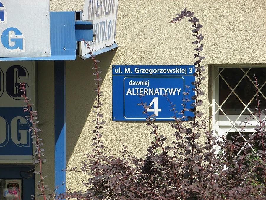 Alternatywy 4