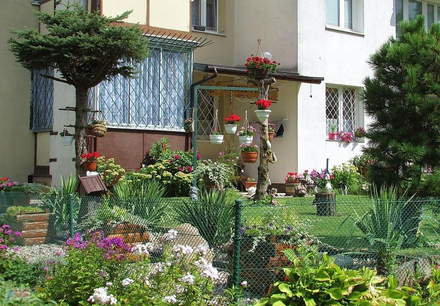 Przyblokowy ogródek na Ursynowie