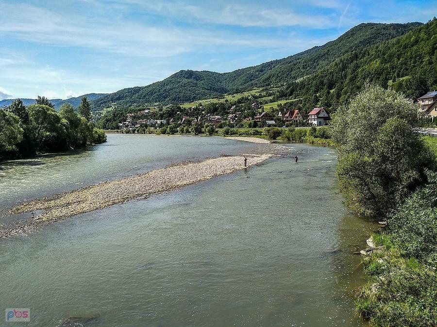 Dunajec w okolicy Tylmanowej