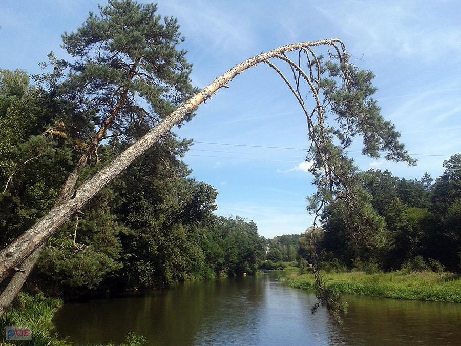 Rzeka Warta