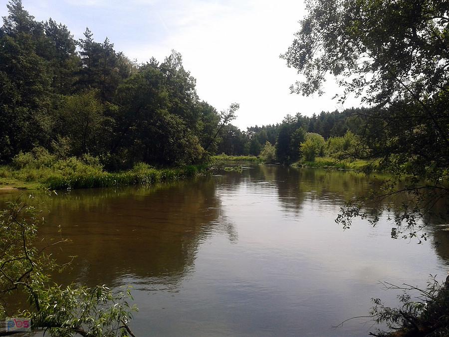 Piękna jak zwykle - Warta