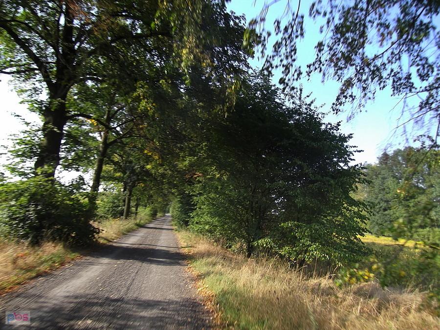 szutrów ciąg dalszy