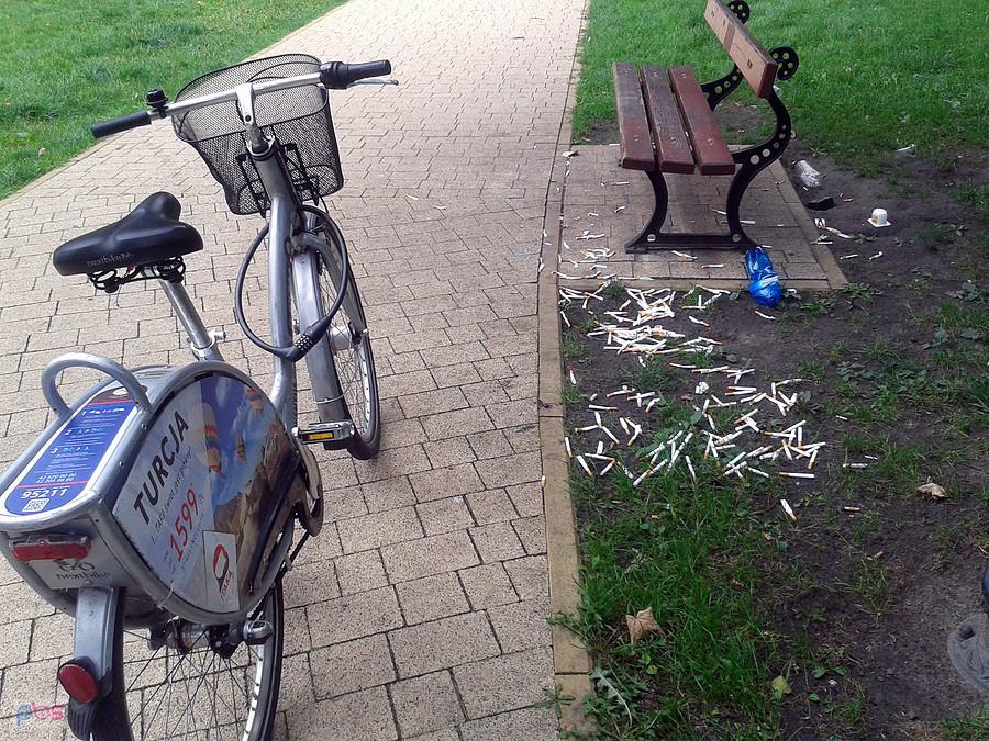 Serek danio i woda to przepis na pozbycie nałoga