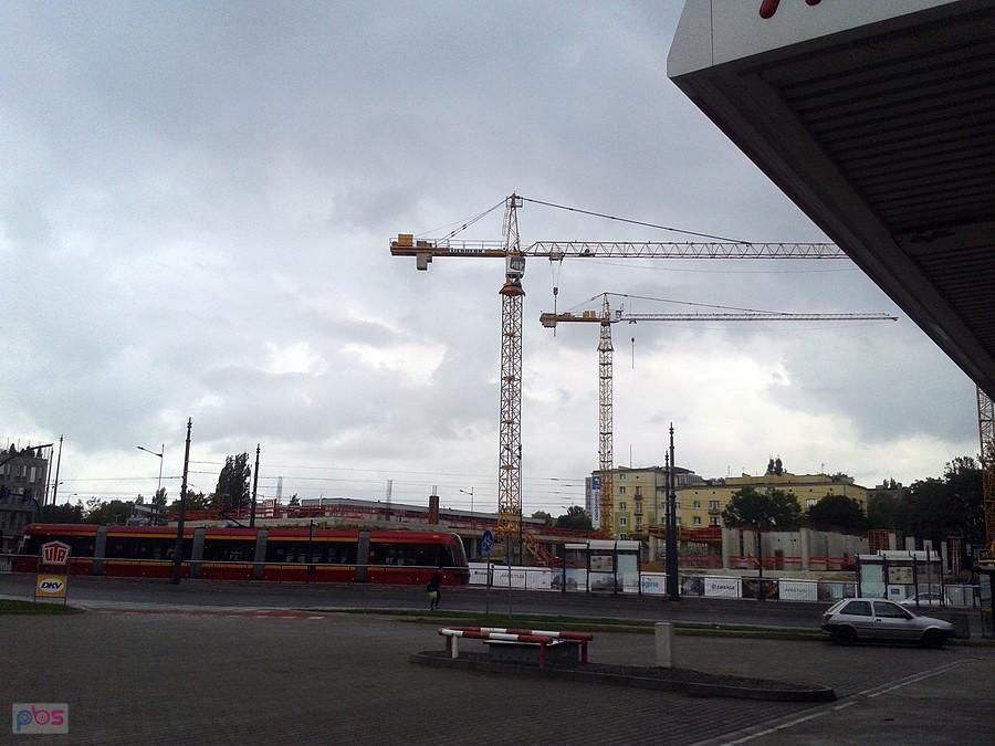Ostoje tego gatunku żurawi to chyba już norma