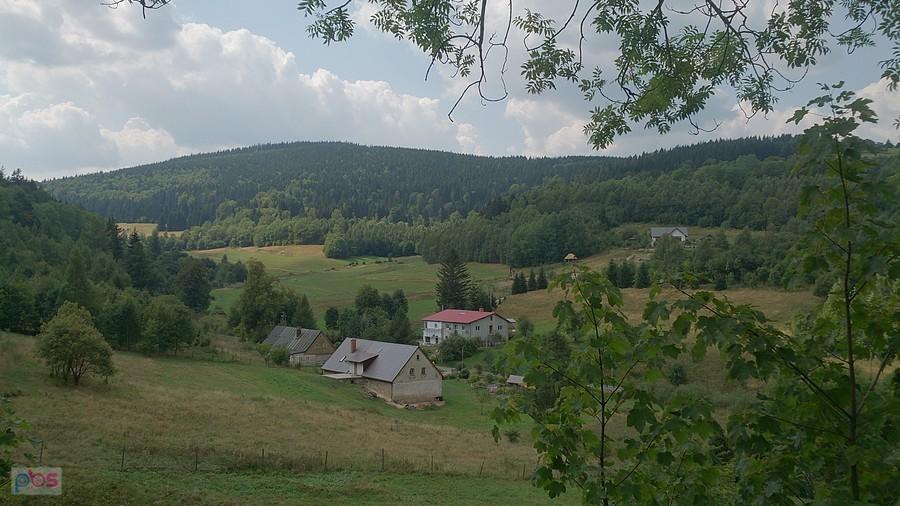 Widoki z drogi wojewódzkiej