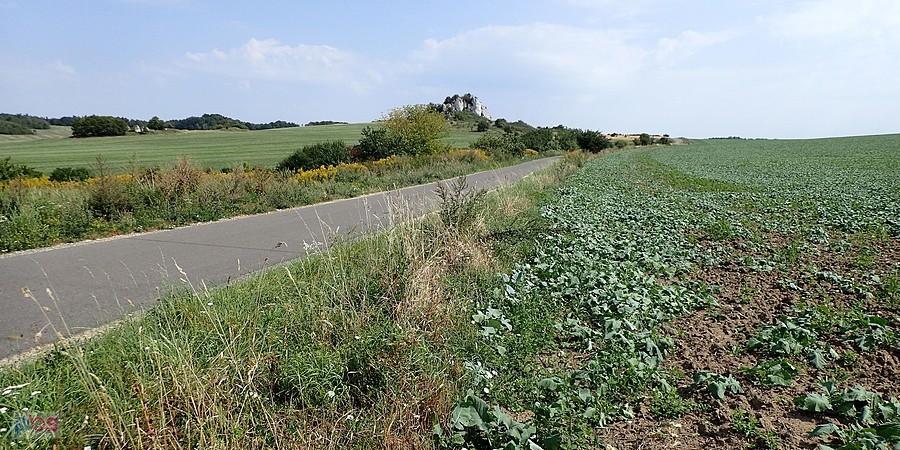 Skała Rzędowa