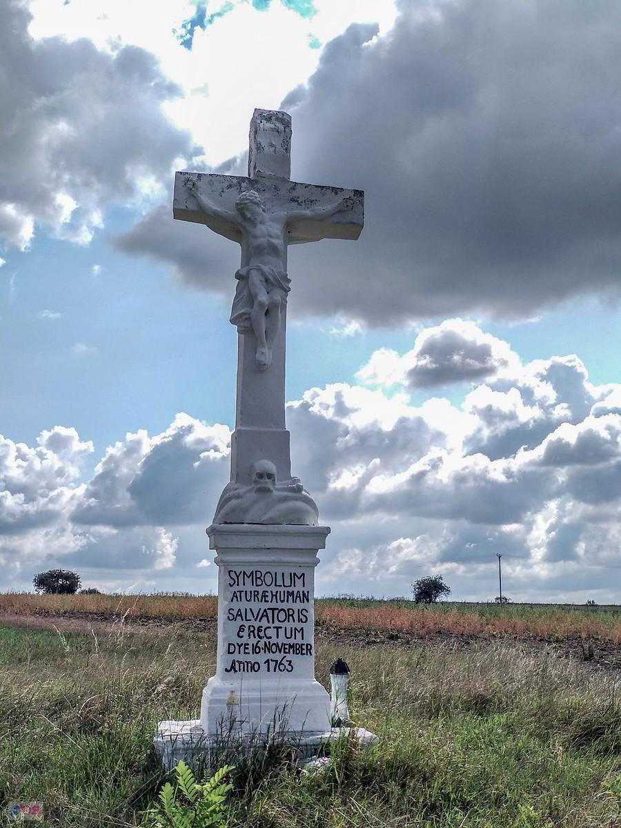 Ledwo wyjechaliśmy a już jest czaszka