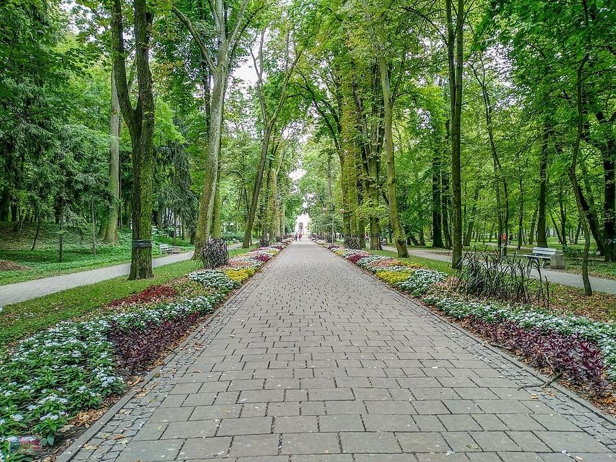 W parku zdrojowym