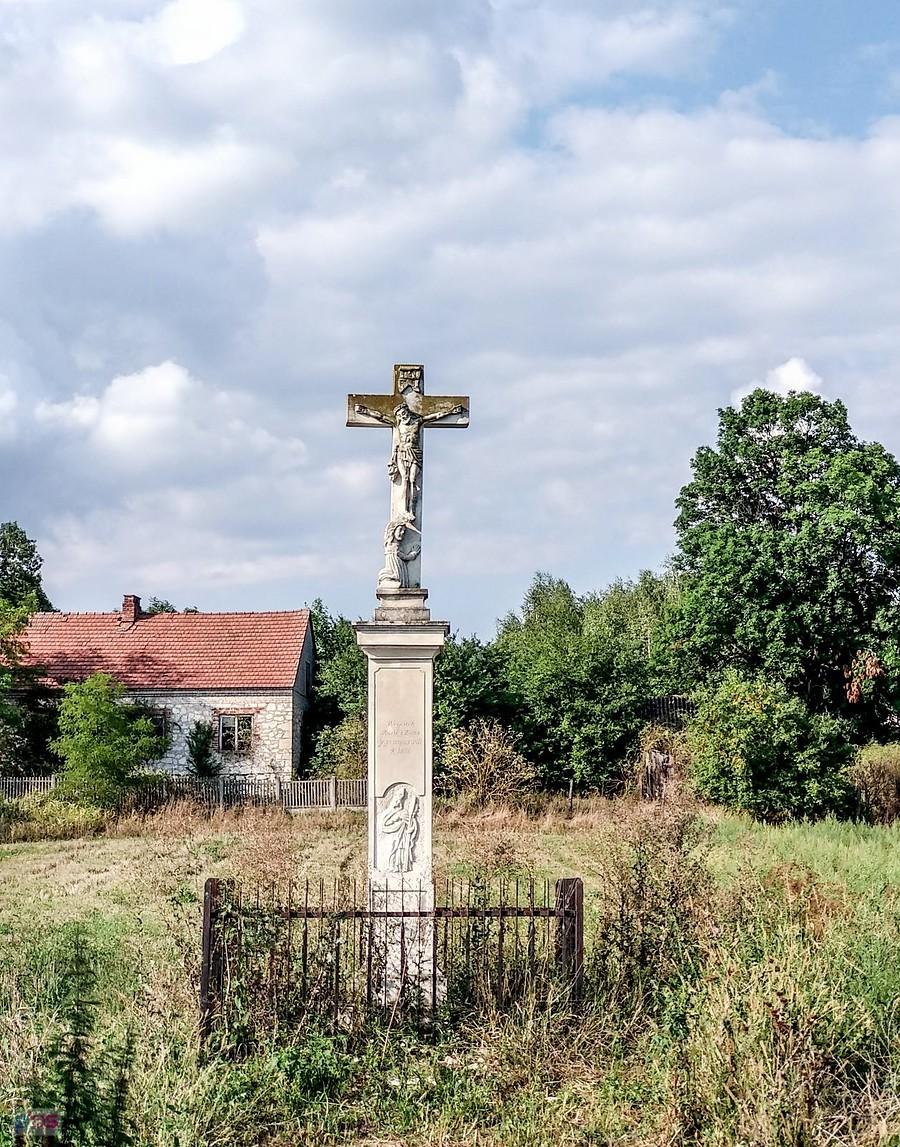 Kolejna dzisiaj znaleziona czaszka