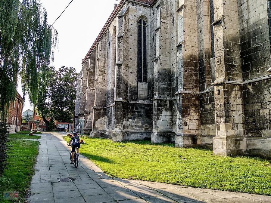 Pod kościołem pw. Narodzenia Najświętszej Marii Panny w Wiślicy