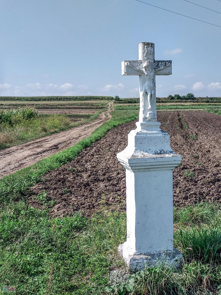 nawet są dwie