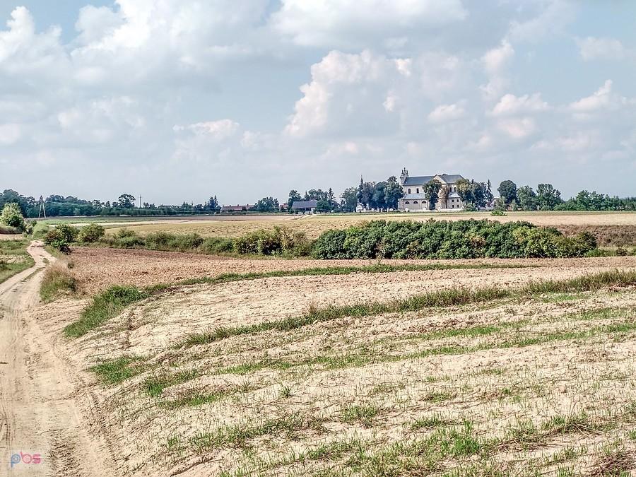 Młodzawy