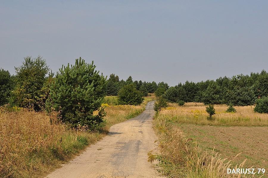 Skarżyce - Droga polna