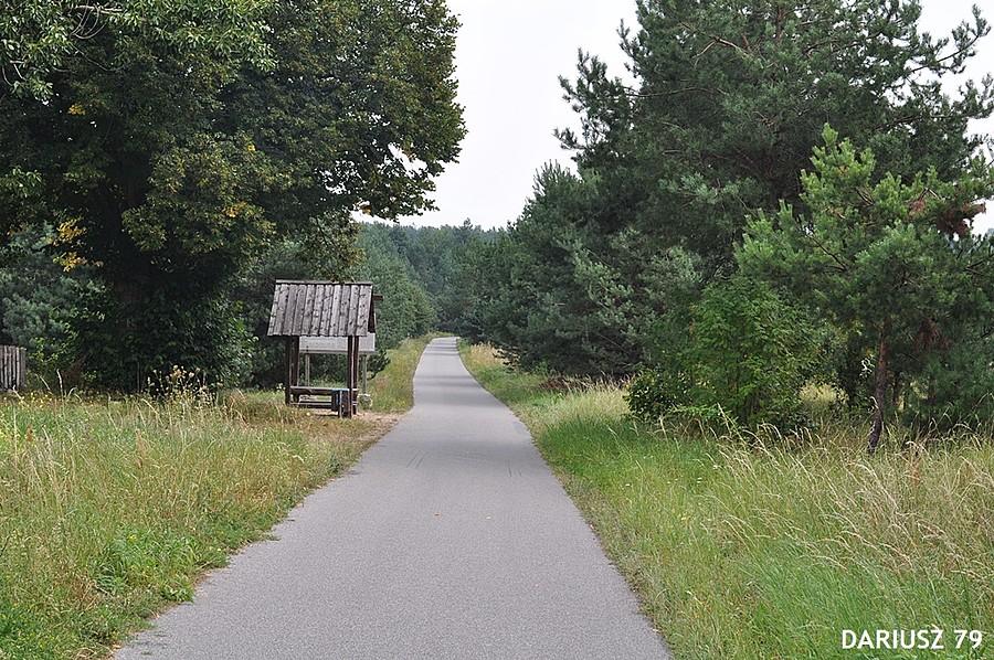 Mirów - Szlak rowerowy czerwony w stronę Żarek
