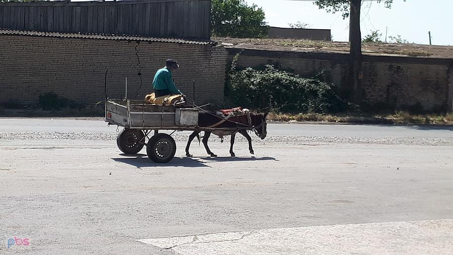 Transport tradycyjny