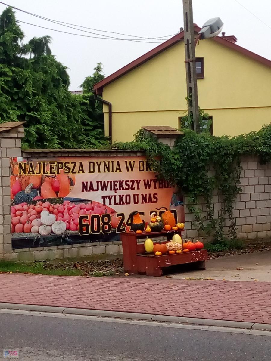 Już są dynie w Macierzyszu. Koniec lata...