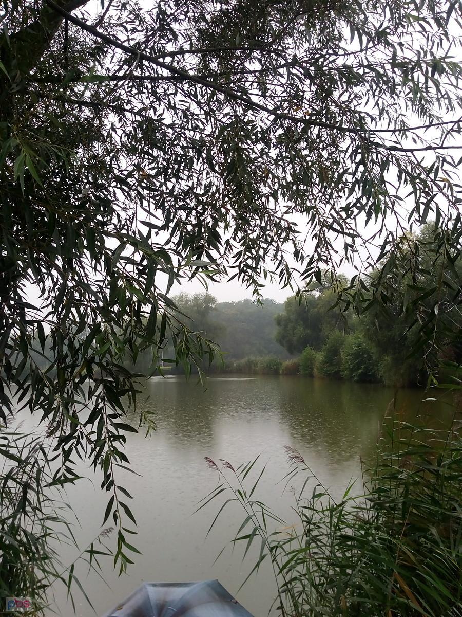 Staw w Zielonkach musi być