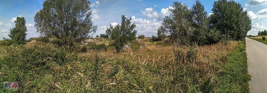 Skałki w okolicach Gartatowic