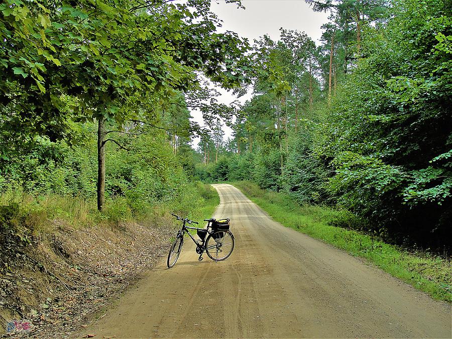 Wycieczka rowerowa -okolice Tczewa i Dożynki Działkowców.