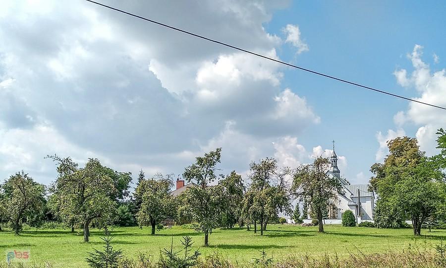 Sad przy kościele w Morsku Dolnym