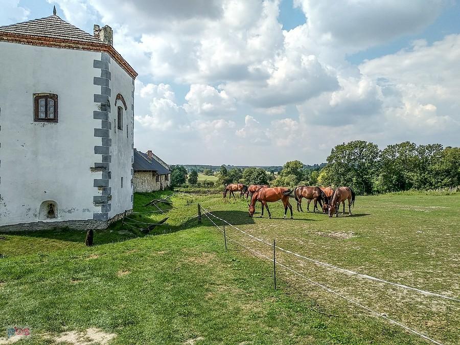 Przy zamku Sobków
