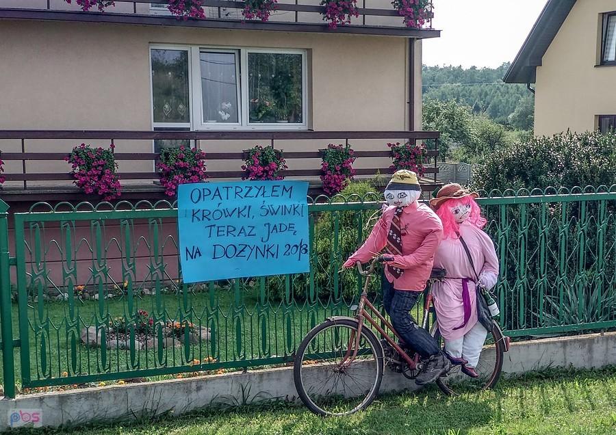 Opatrzyłem krówki, świnki teraz jadę na dożynki ;)