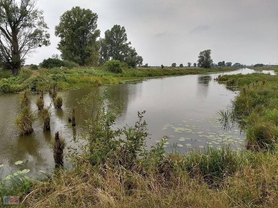 Ładnie tu