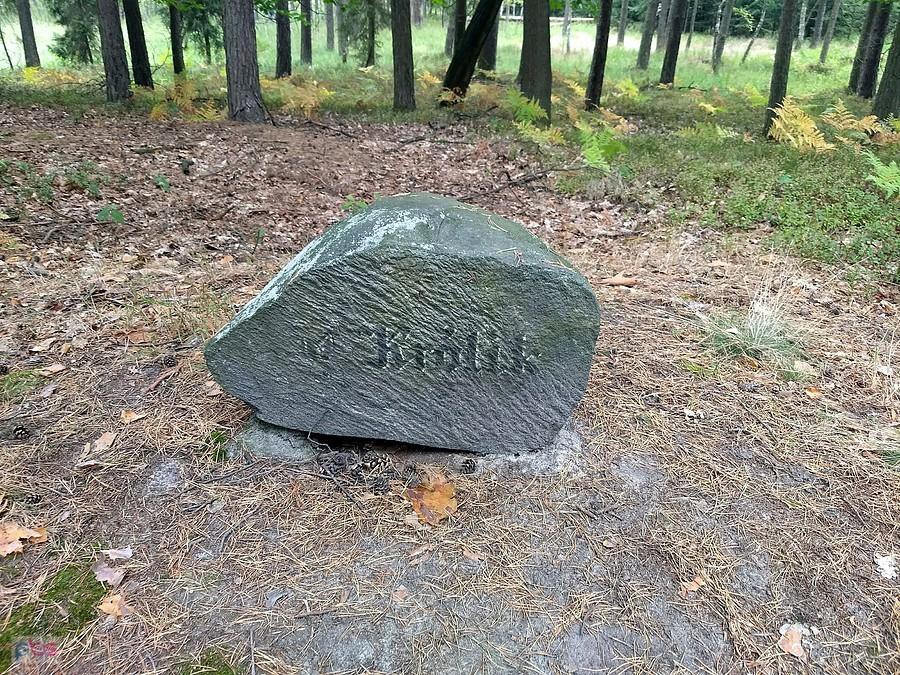 Królik to czy jeleń?