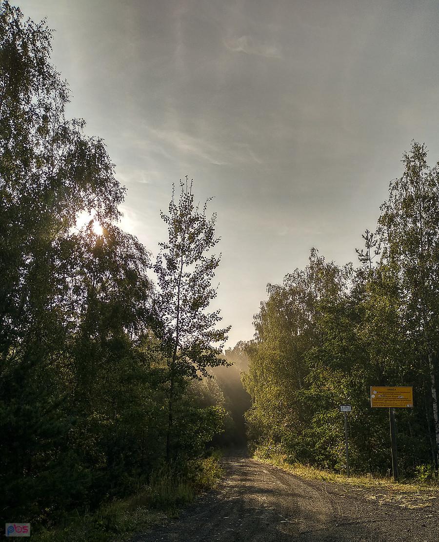 Okolice hałdy w Panewnikach