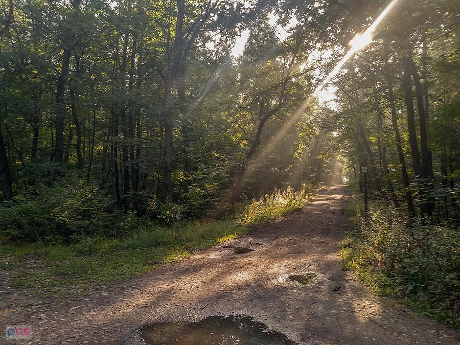 Lubię to miejsce fotografować