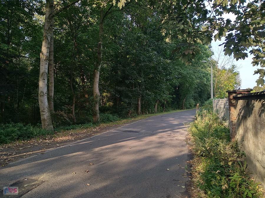 W Zabrzu przy lasku Makoszowskim