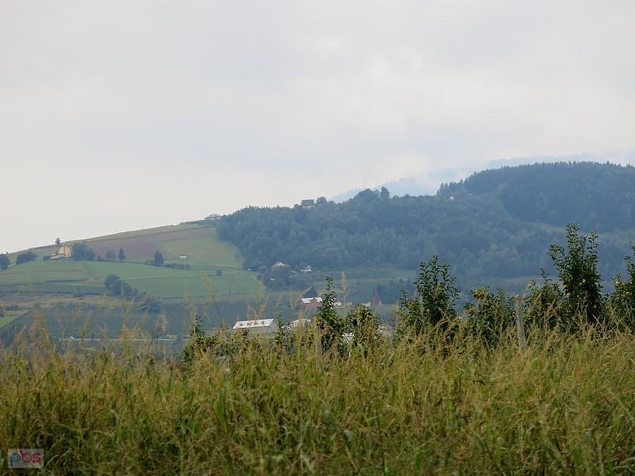 Widoki za mgłą