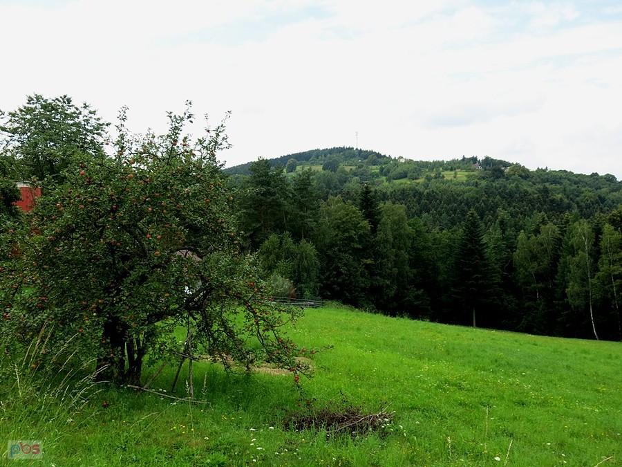 Widoki z okolic Kwaśniówki