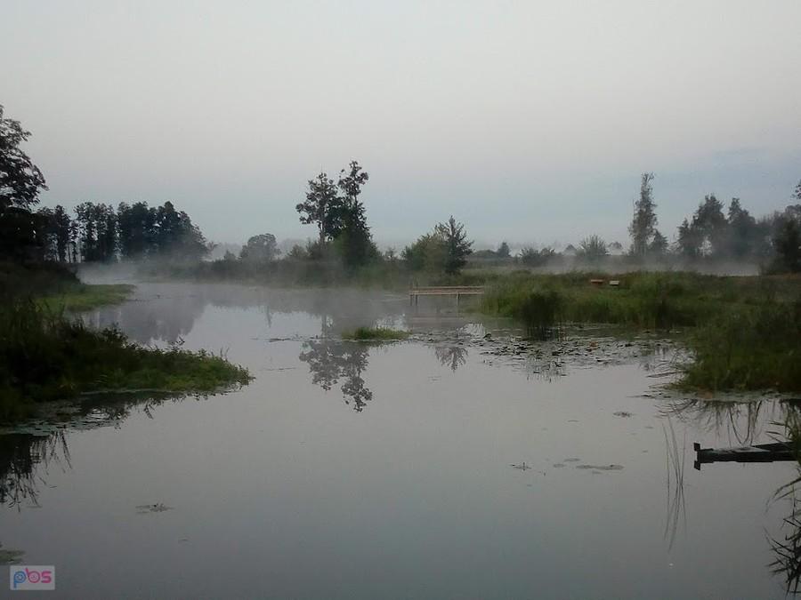 Narew nad ranem