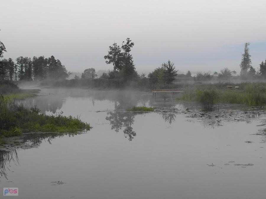 Narew nad ranem