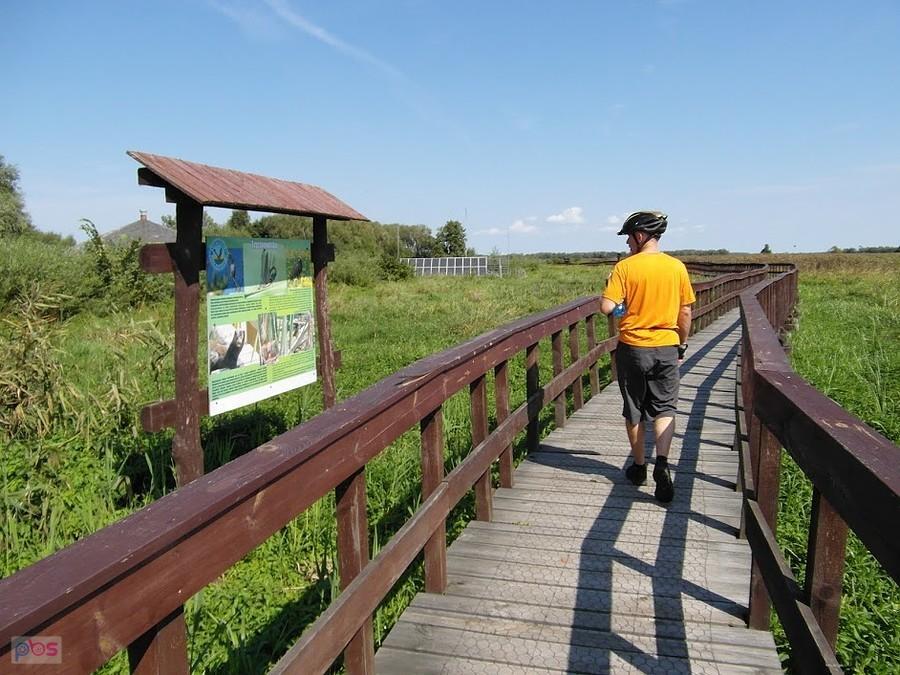 Narwiański Park Narodowy