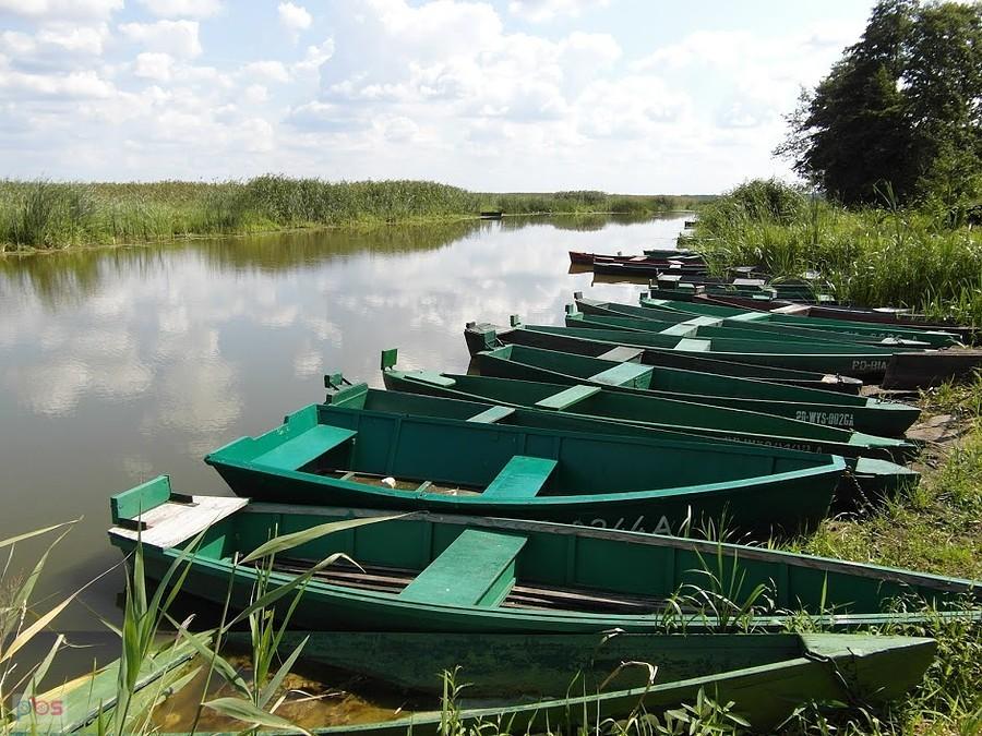 Narwiański Park Narodowy