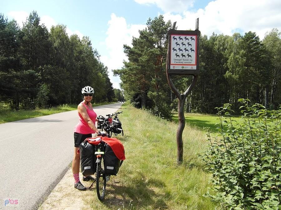 Droga Carska- Biebrzański Park Narodowy