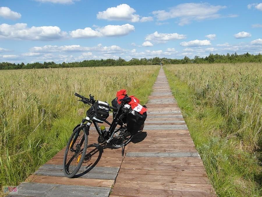 Na bagnach - Podlasie