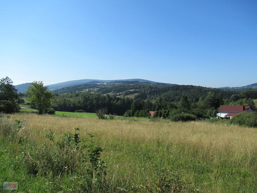 Wielka Sowa