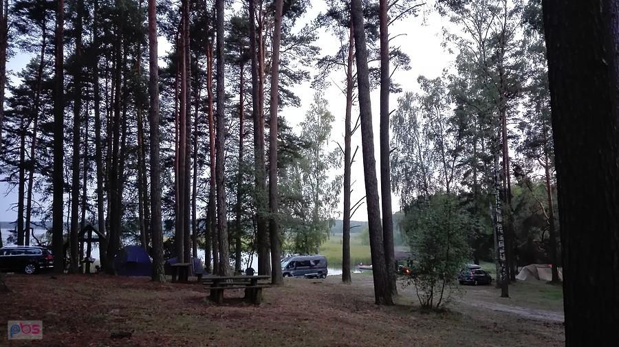 Pole namiotowe Małe Swornegacie