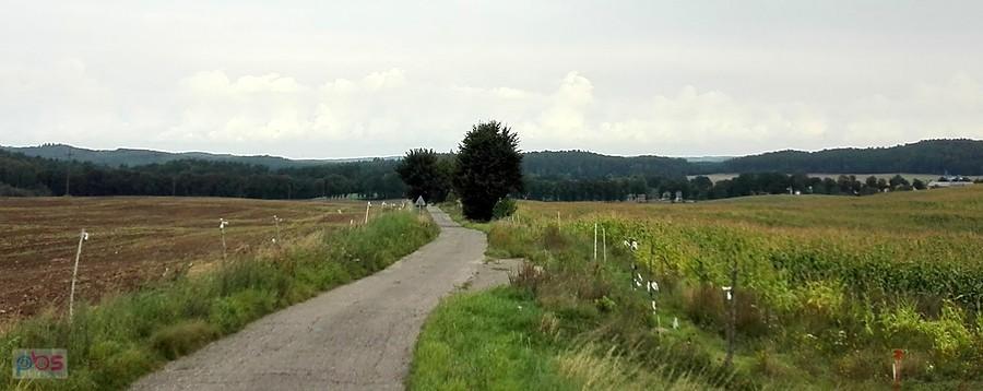 Kręta droga